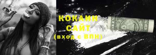 сатива Сафоново