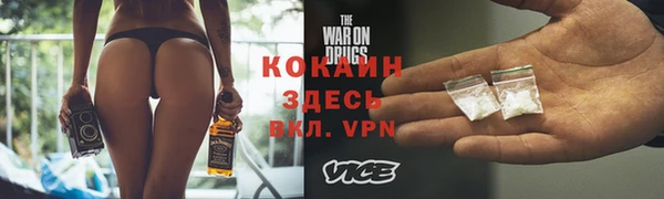 индика Волоколамск