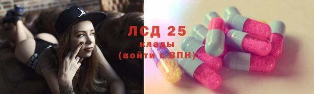 индика Волоколамск