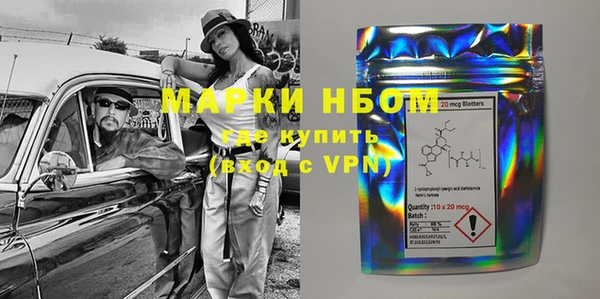 индика Волоколамск