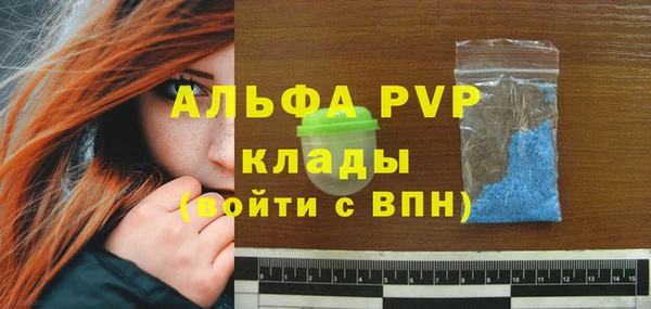 индика Волоколамск