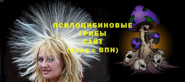 мдпв Верея