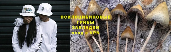 не бодяженный Володарск