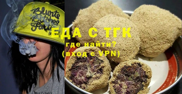 индика Волоколамск