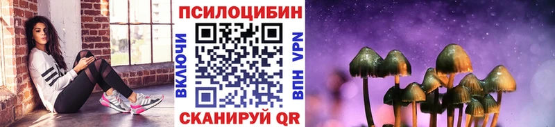 где купить наркоту  Каргат  Галлюциногенные грибы GOLDEN TEACHER 