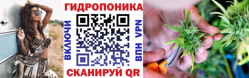 Конопля White Widow  хочу наркоту  Каргат 